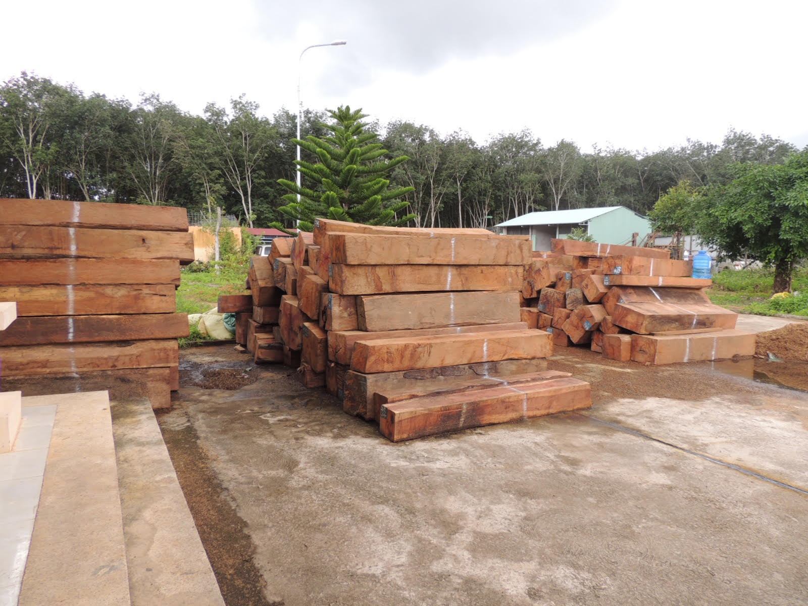 Phat hien tren 200 hop go giang huong khong ro nguon goc hinh anh