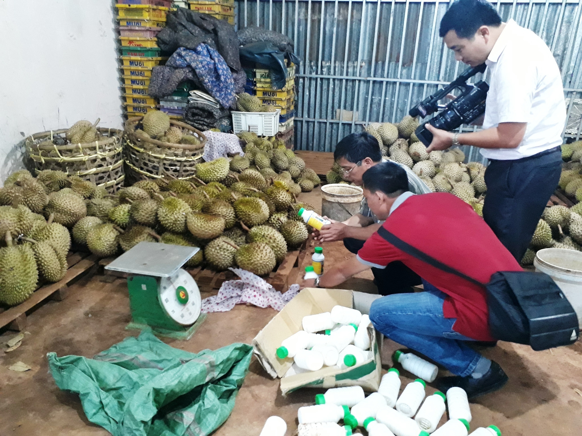 Bat qua tang co so lam chin sau rieng bang phan bon la hinh anh