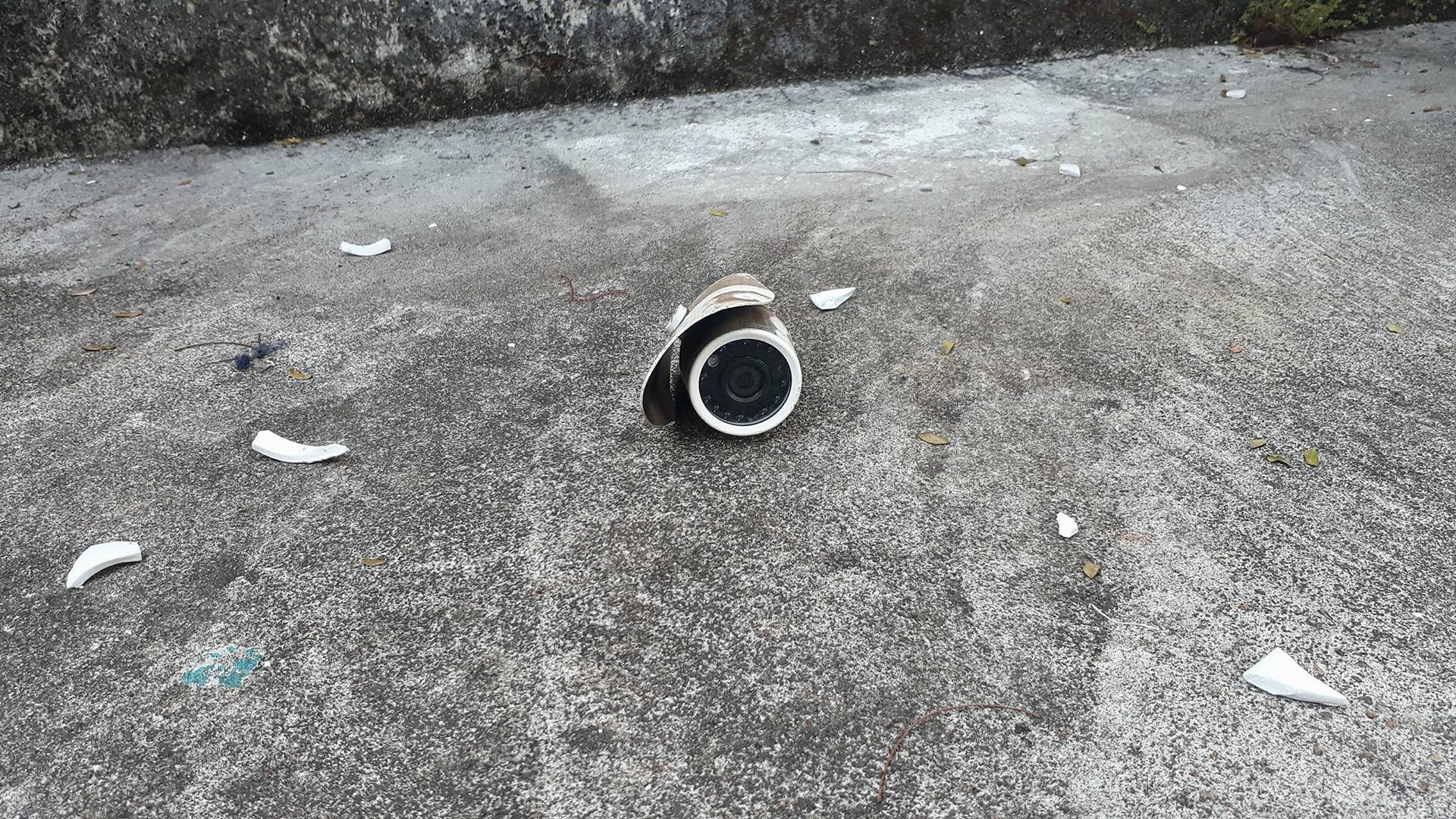 một gia đình bị khủng bố tinh thần ảnh 2 mot gia dinh bi khung bo tinh than anh 2