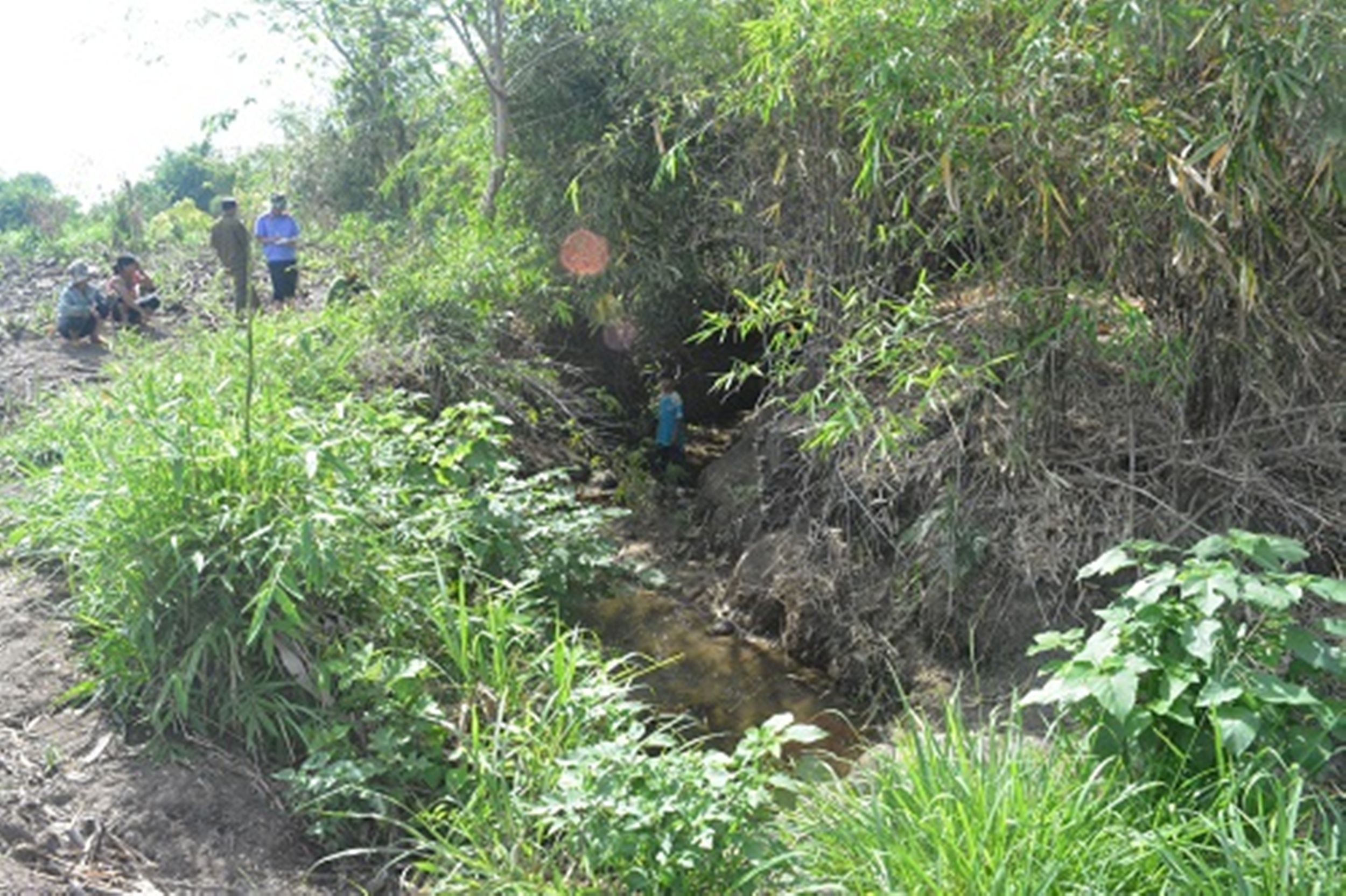 Be gai 13 tuoi bi 2 yeu rau xanh thay nhau ham hai hinh anh