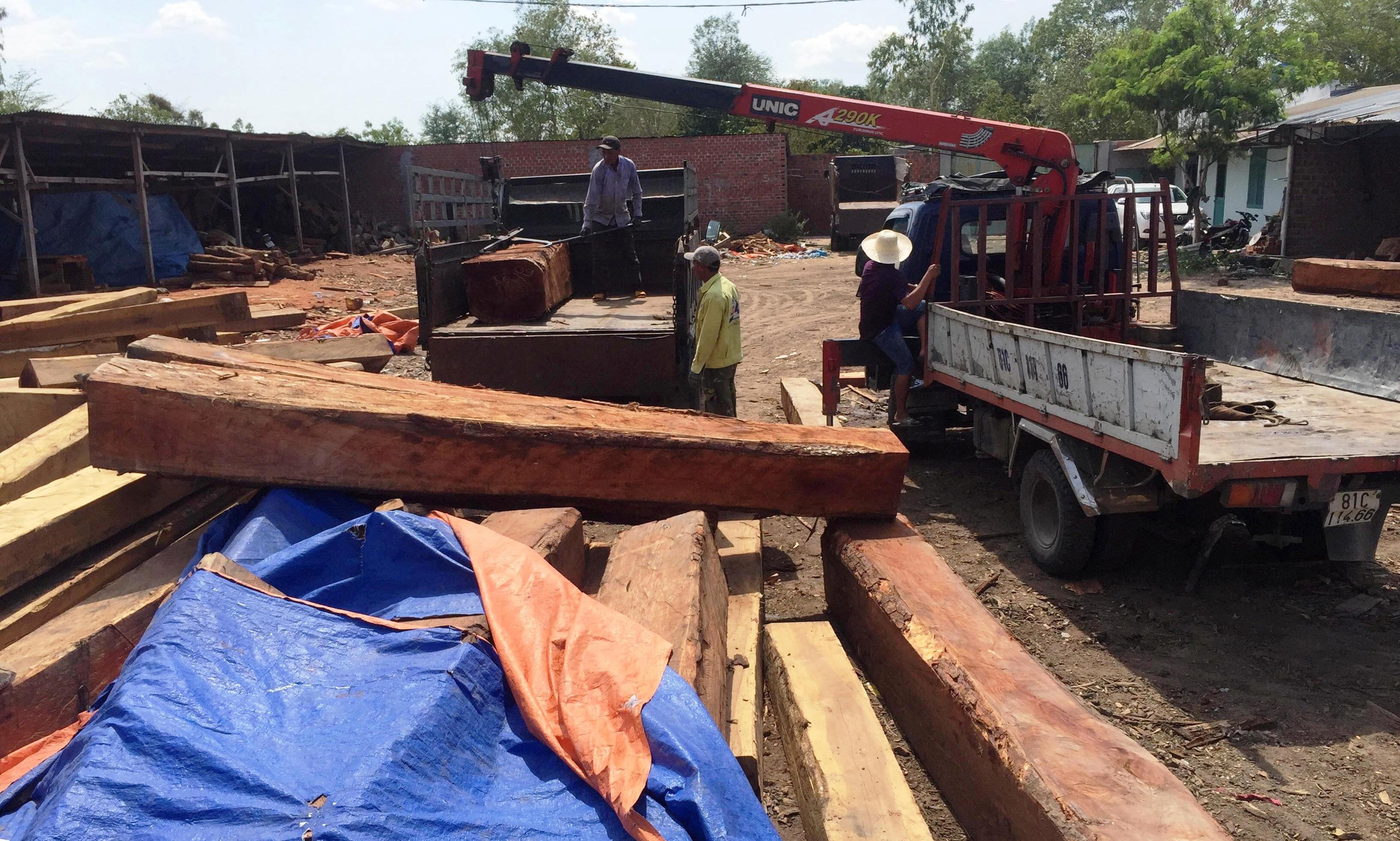 Bat khan cap giam doc cong ty kinh doanh go hinh anh