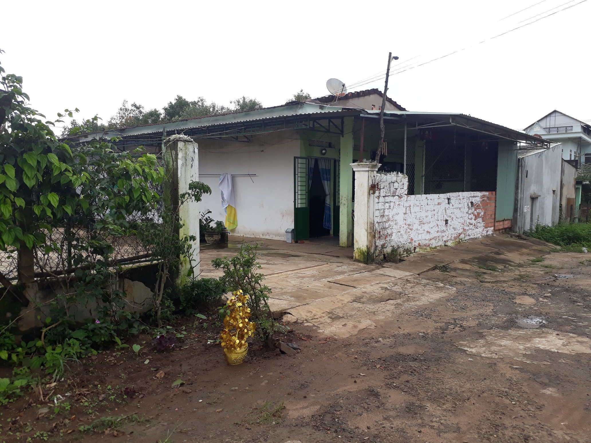 cô gái làm thuê bị tra tấn ảnh 2 co gai lam thue bi tra tan anh 2