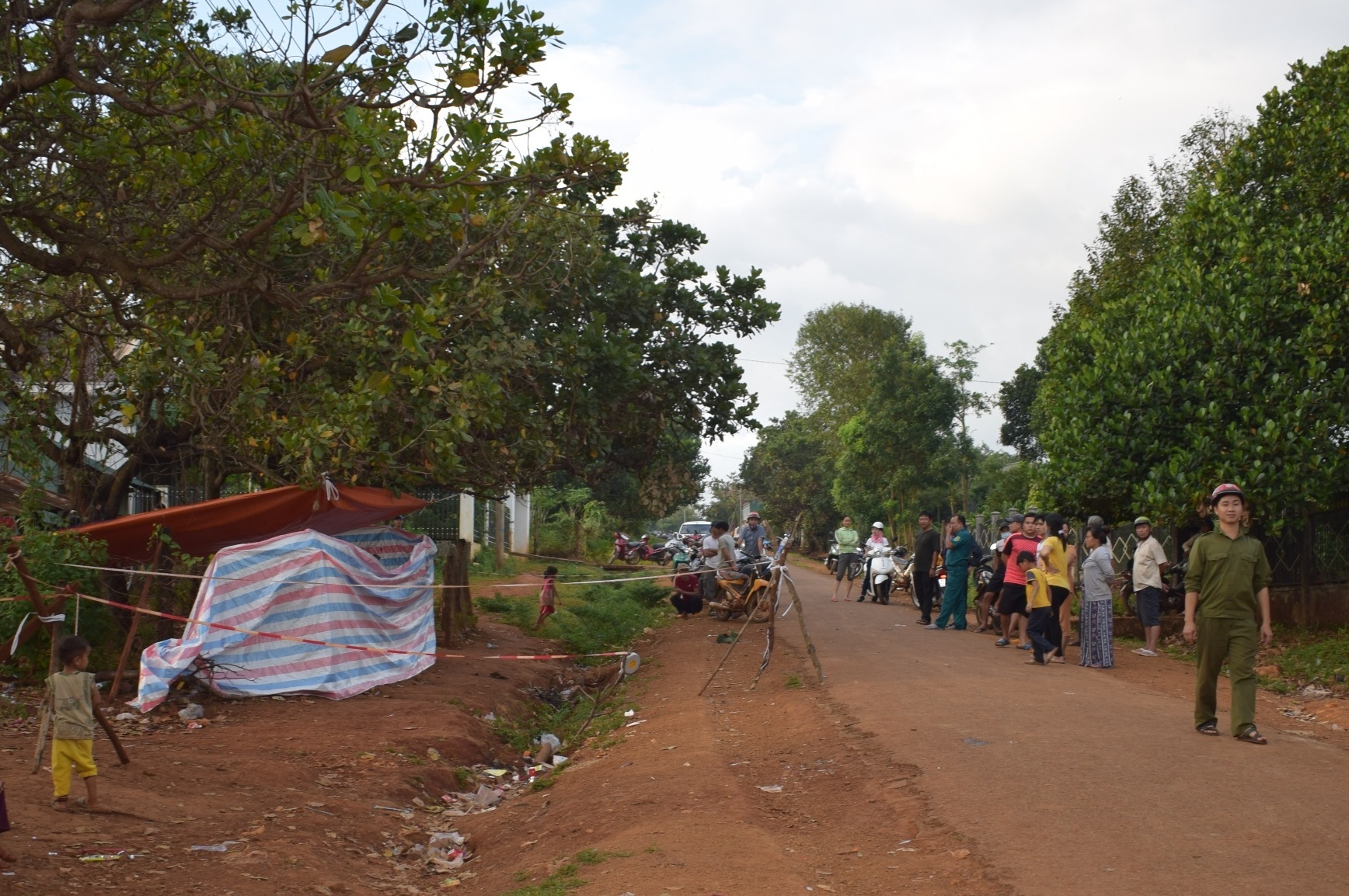 Bi dam chet vi dot rau ban nhau hinh anh