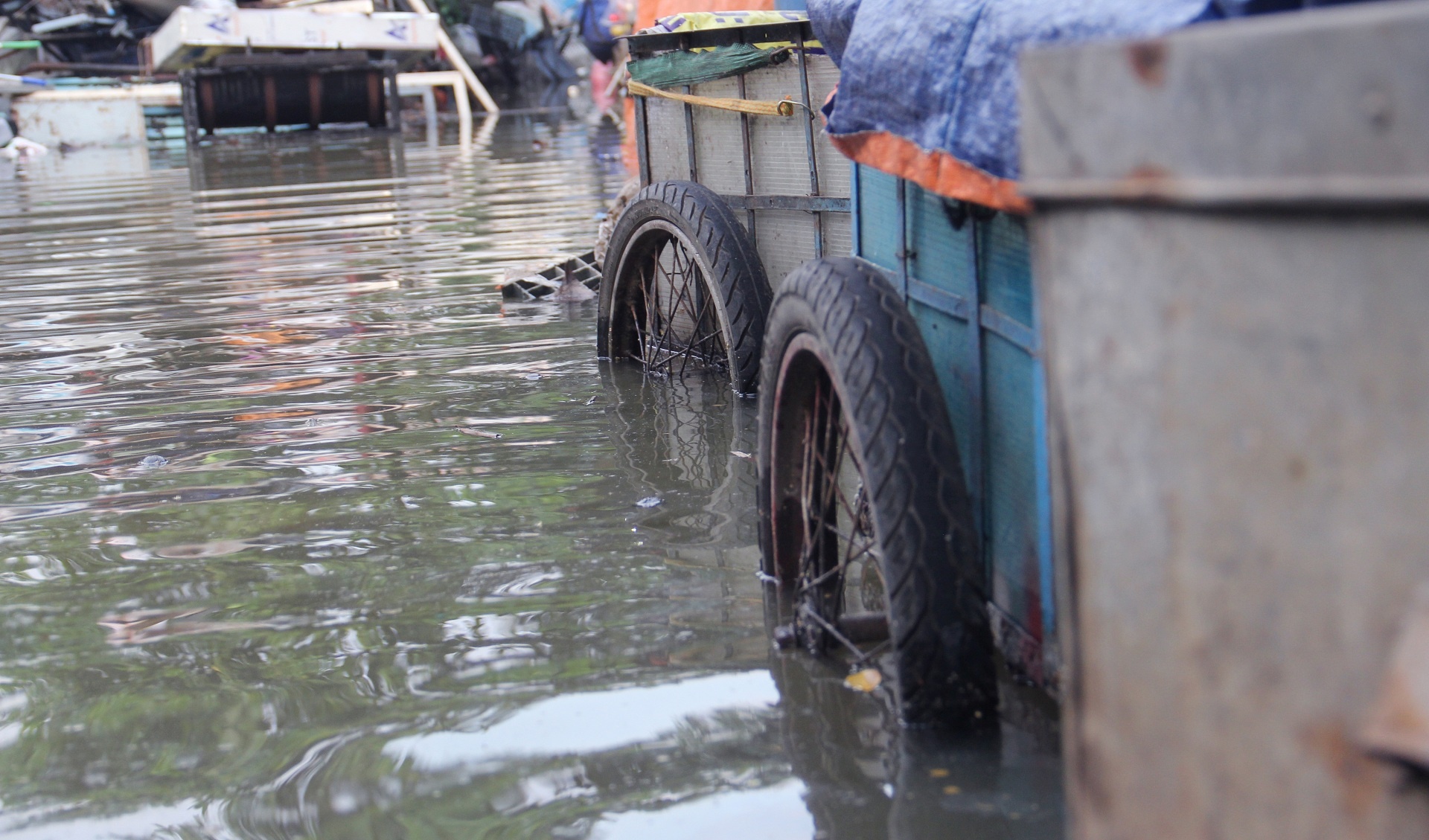 Nguoi dan chong ngap anh 10