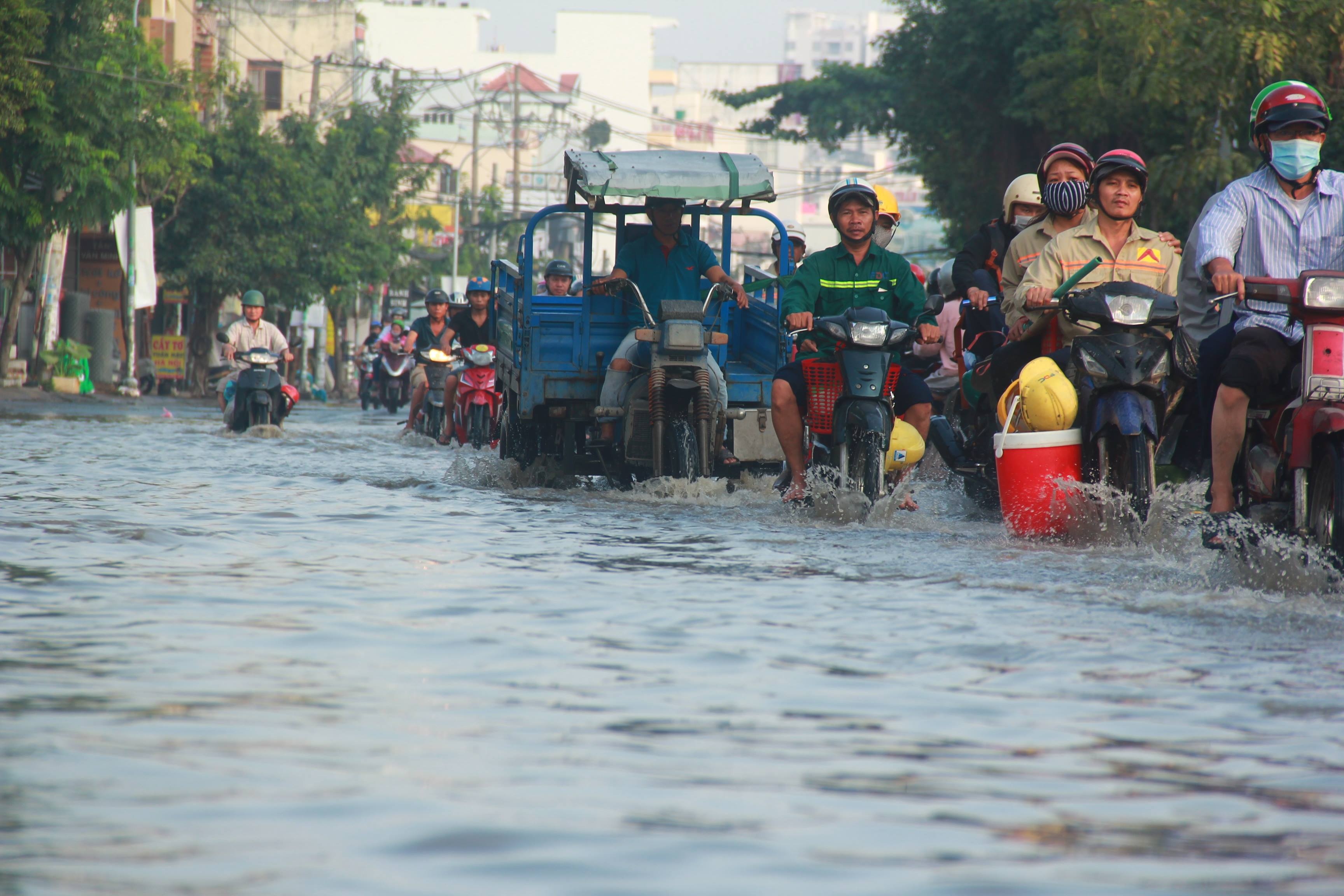 Trieu cuong ngap duong anh 10