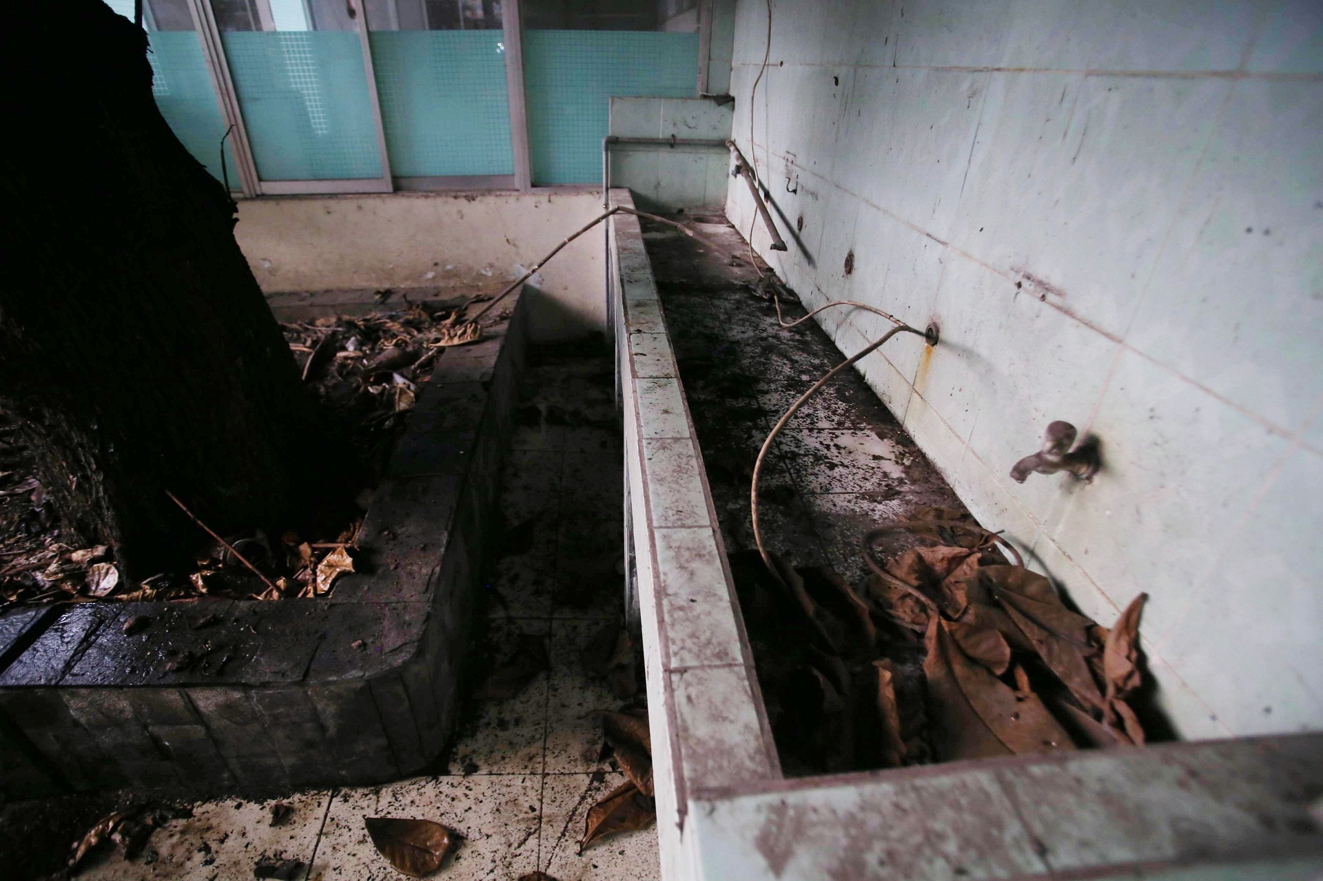 Truong hoc bo hoang anh 4