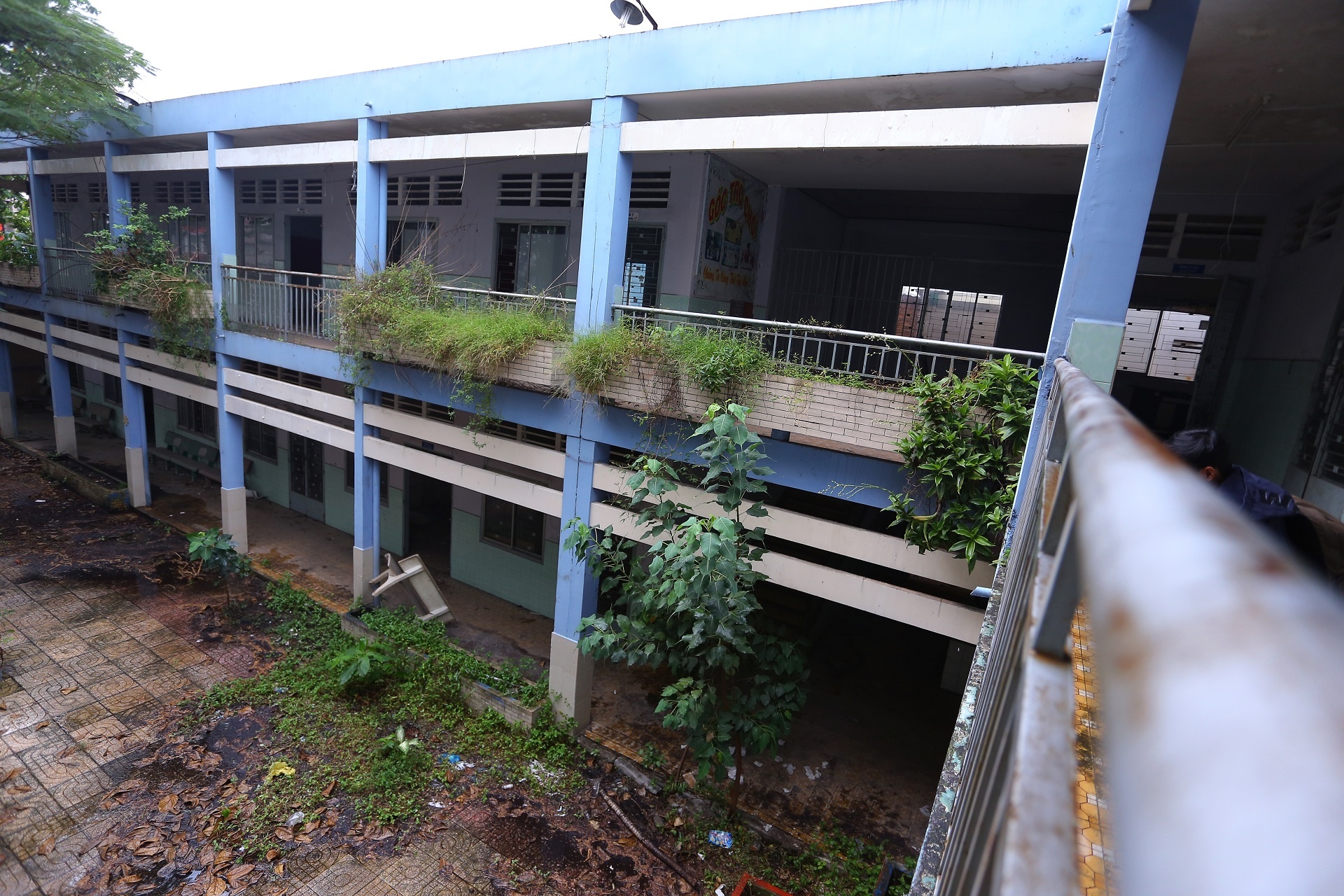 Truong hoc bo hoang anh 8