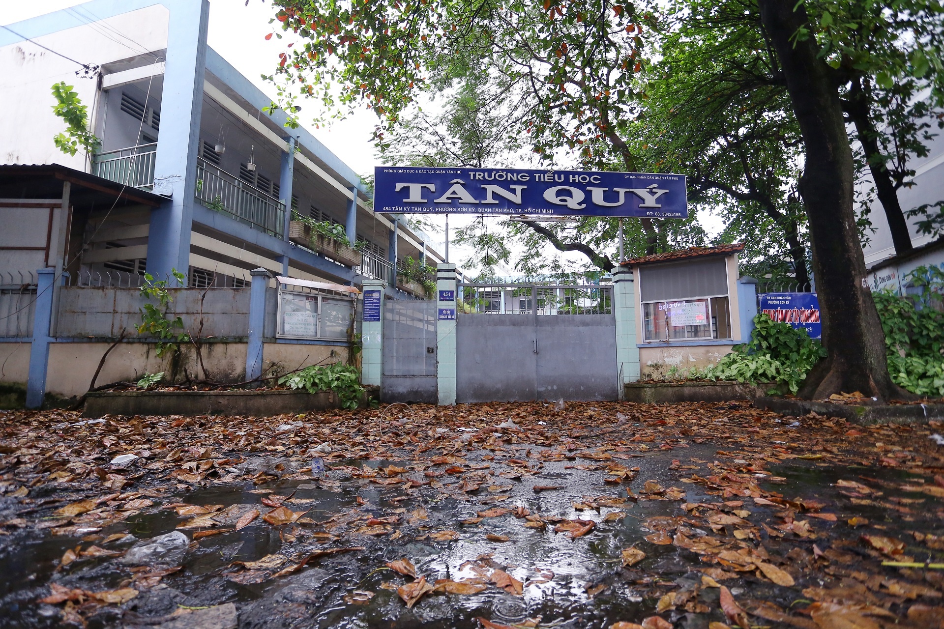 Truong hoc bo hoang anh 12