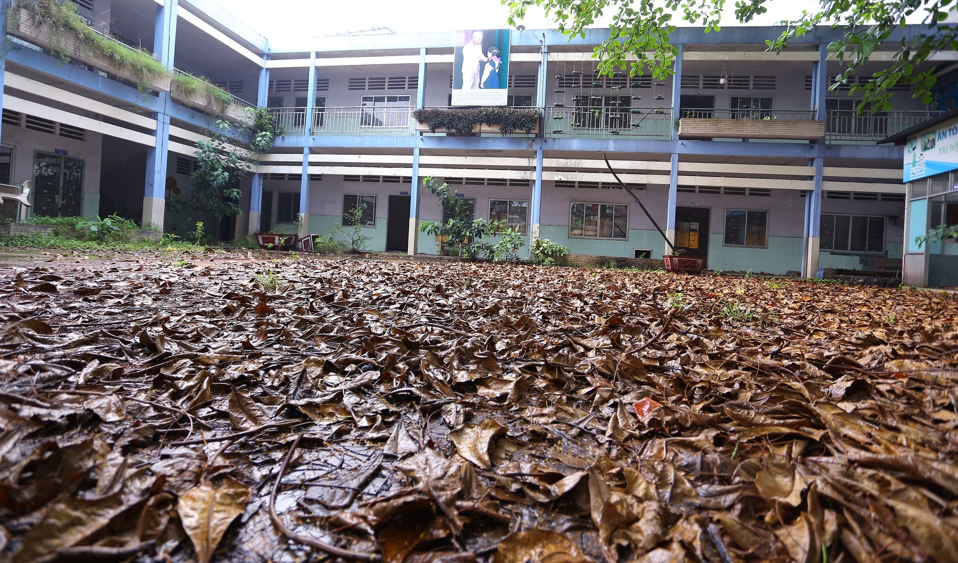 Truong hoc bo hoang anh 1