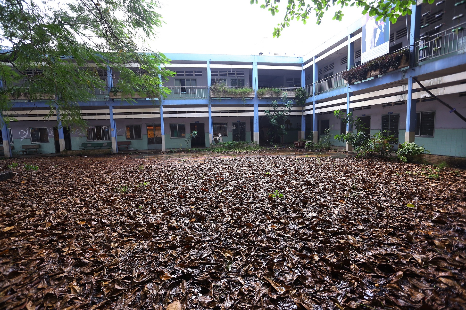 Ngoi truong 2 tang hoang tan sau gan 3 nam dong cua o Sai Gon hinh anh