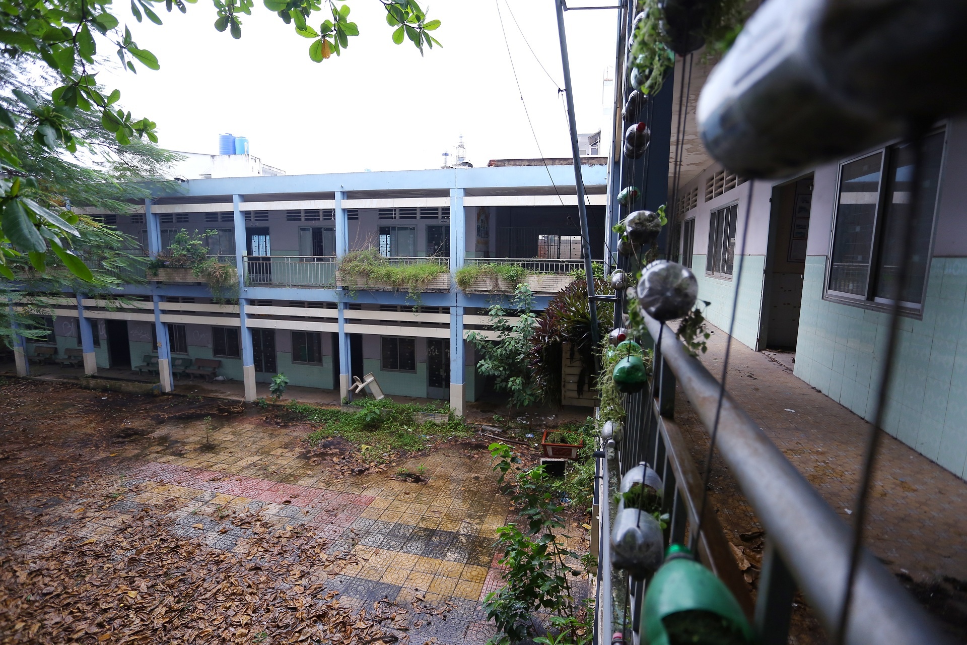 Truong tieu hoc bo hoang gan 3 nam o Sai Gon hinh anh