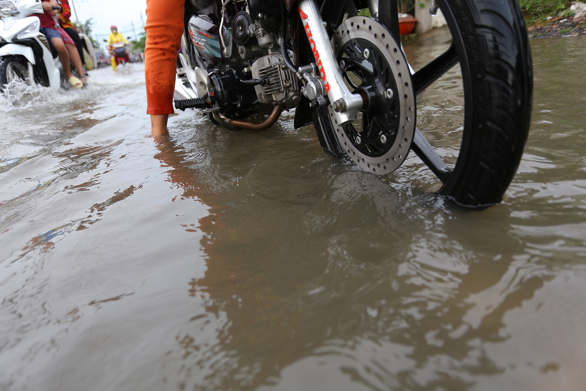 Trieu cuong dang cao anh 4