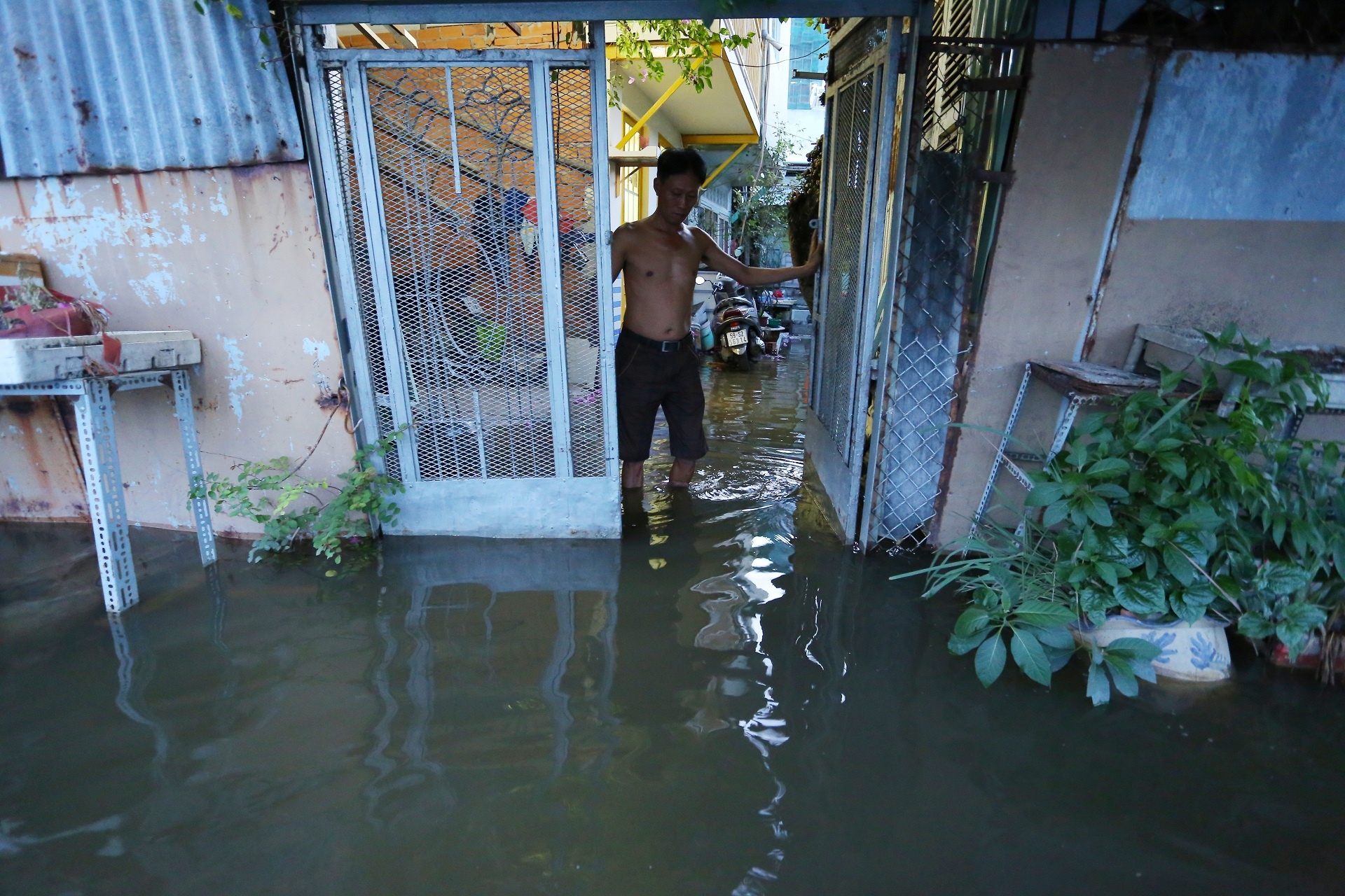 Triều cường lên đỉnh ảnh 10 Trieu cuong len dinh anh 10