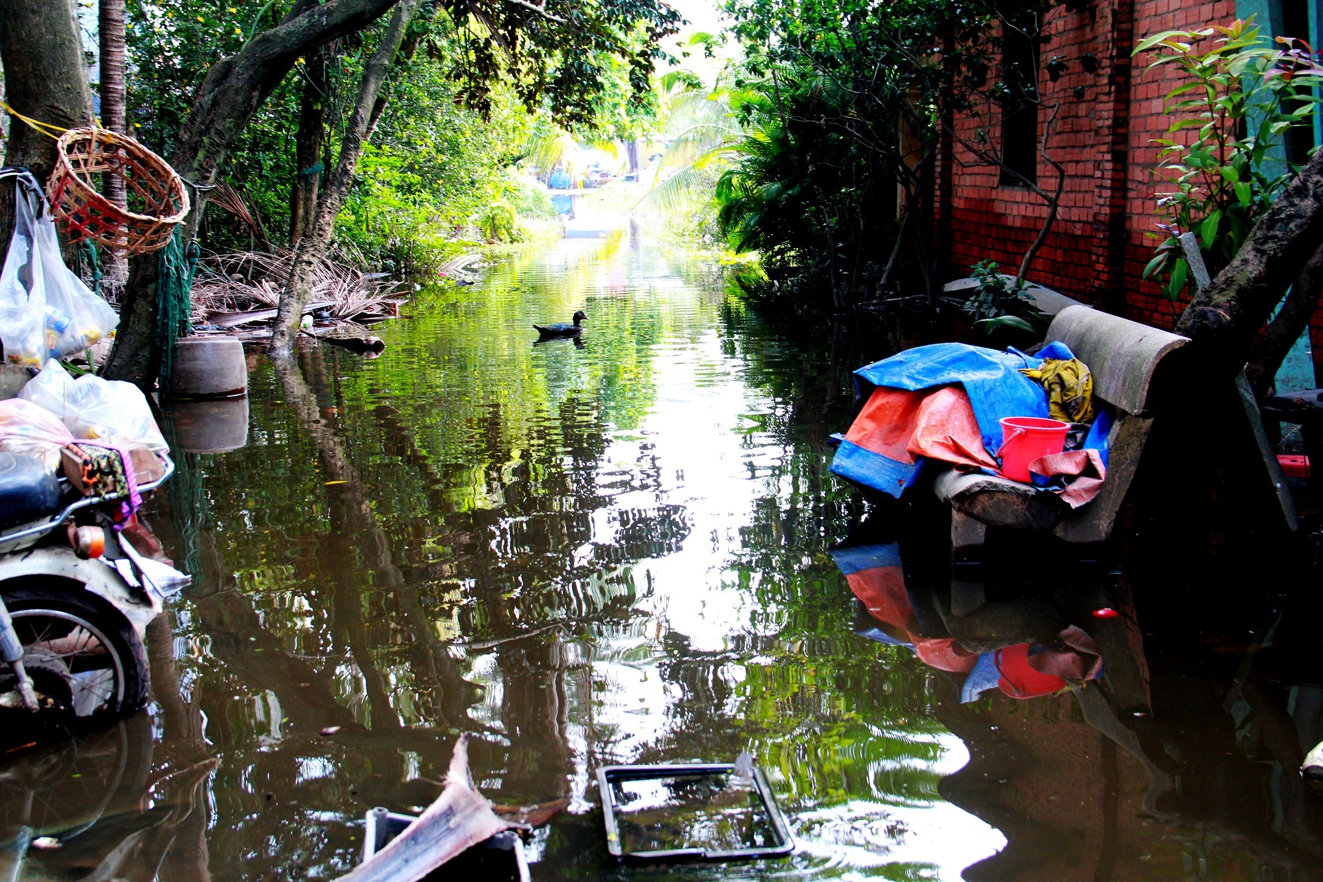 Nha dan ngap keo dai anh 8