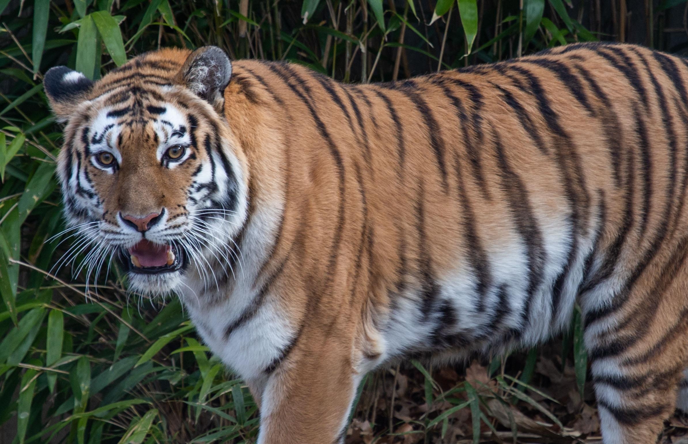 Ho can dut canh tay nguoi nuoi duong o Binh Duong hinh anh