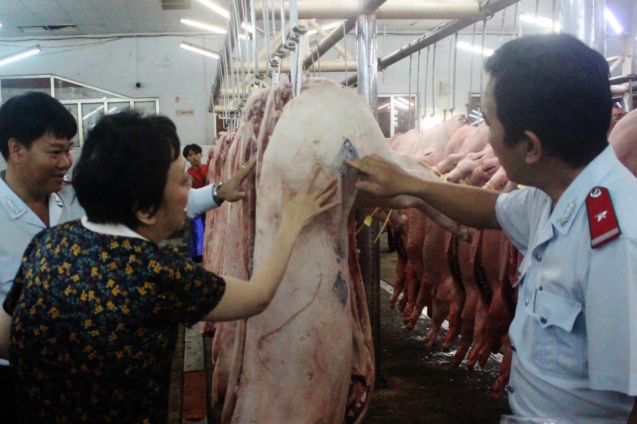 Tieu huy 163 con lon nhiem dich ta chau Phi o Sai Gon hinh anh