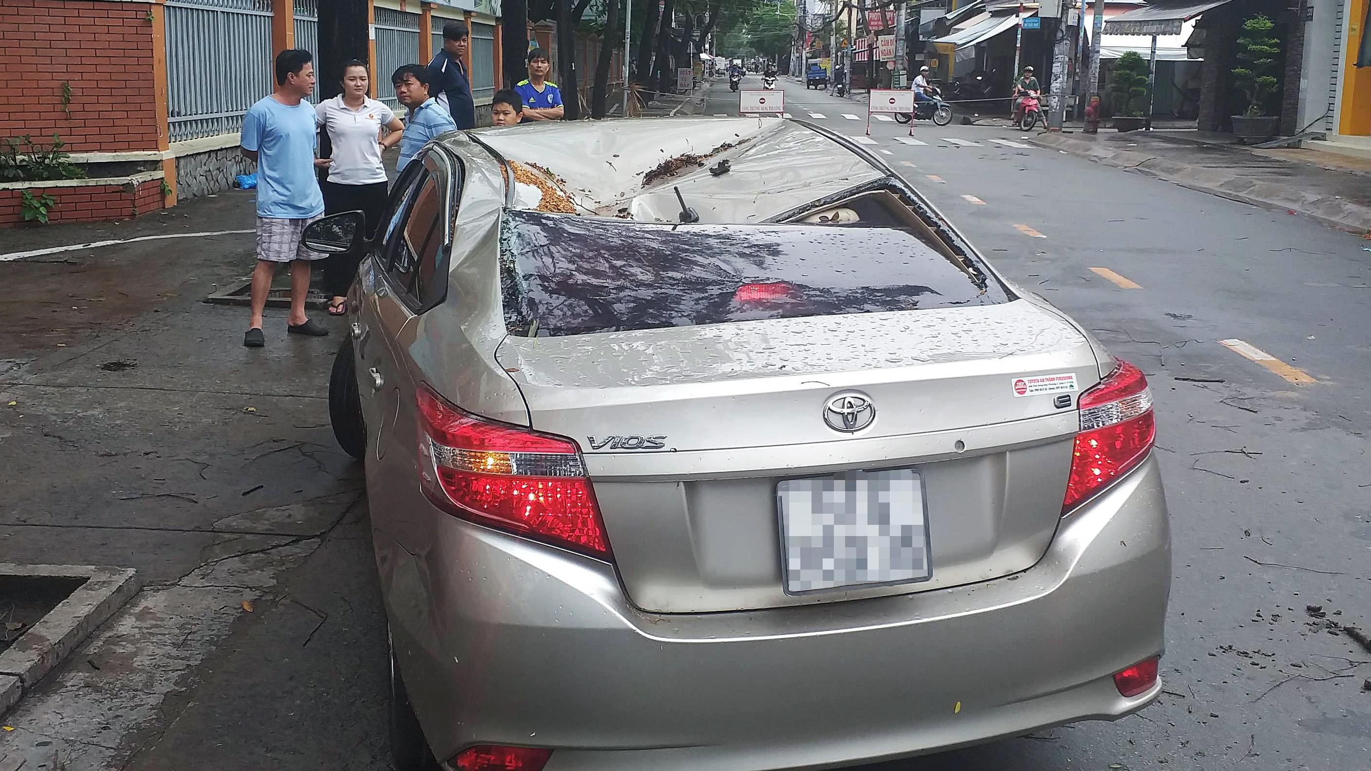 Cây xanh ngã đè ôtô ảnh 1 Cay xanh nga de oto anh 1