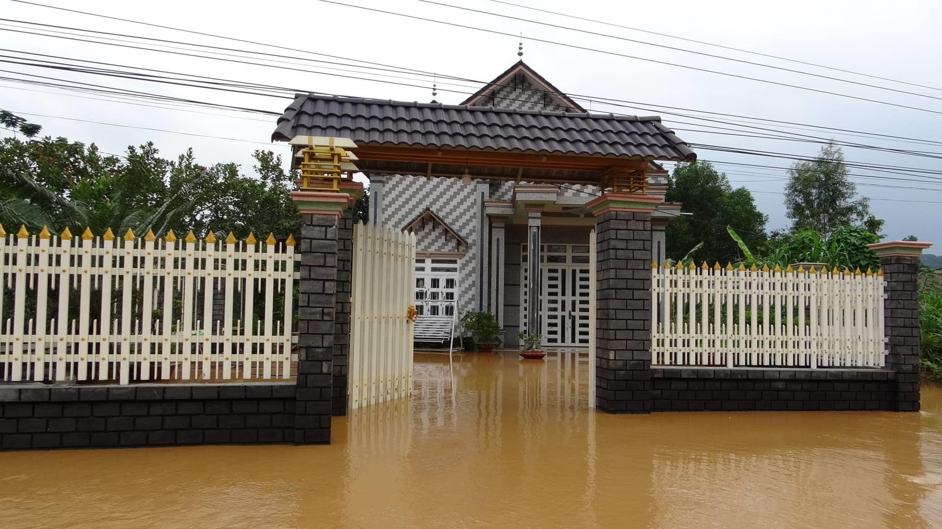 Ngap lut o Dong Nai anh 2