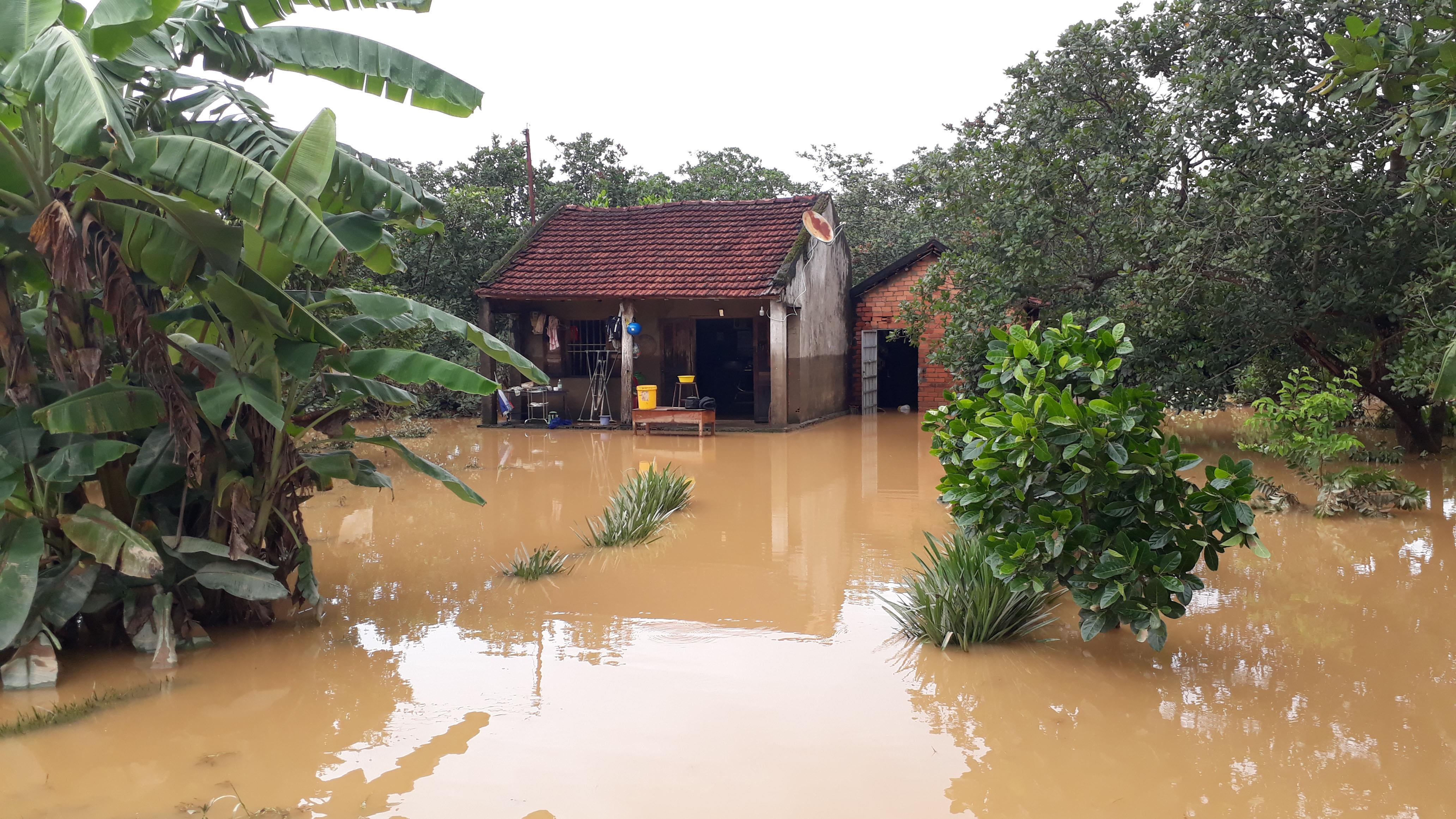 6 người mắc kẹt ở cù lao Ba Bềnh ảnh 1 6 nguoi mac ket o cu lao Ba Benh anh 1