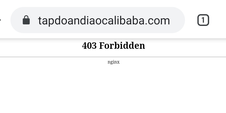 Dia oc Alibaba lua dao anh 1