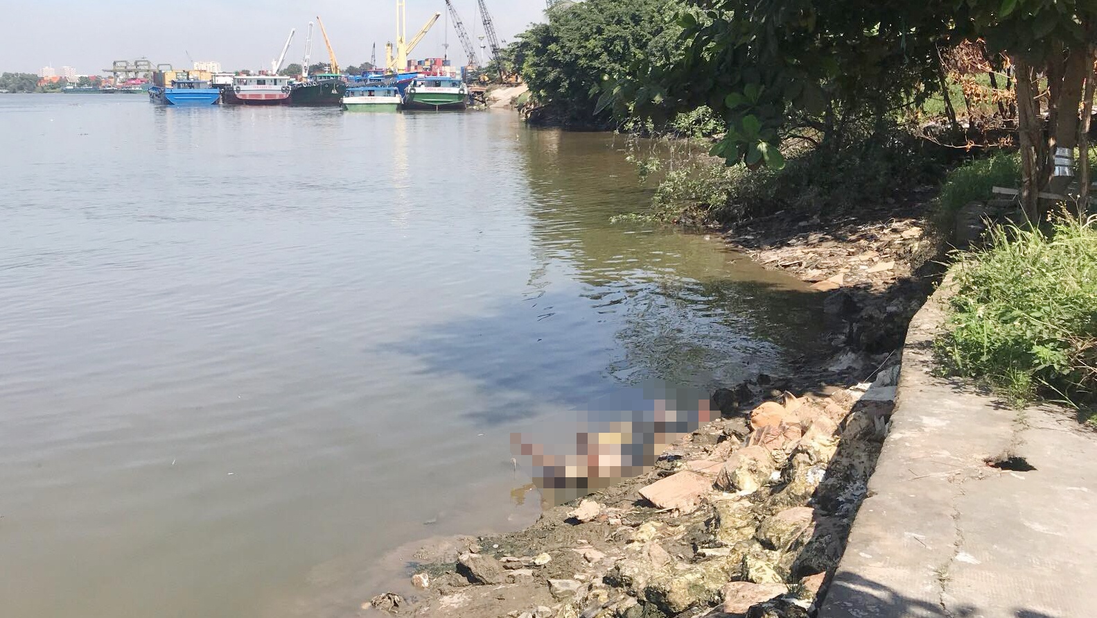 thi the nhieu hinh xam,  thi the troi song,  tim than nhan xac chet,  thi the,  xac chet,  cong an quan Thu Duc,  TP.HCM anh 1