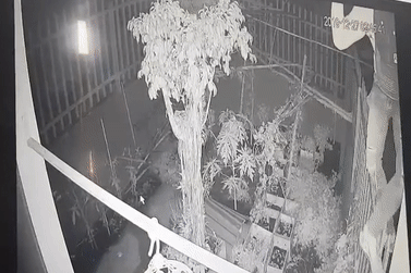 Trom cay cua lay 3 xe may trong dem o TP.HCM hinh anh