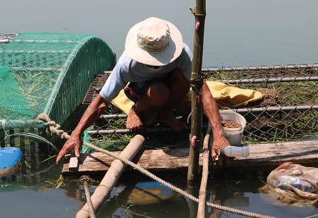 Pho chu tich phuong bi dien giat chet hinh anh