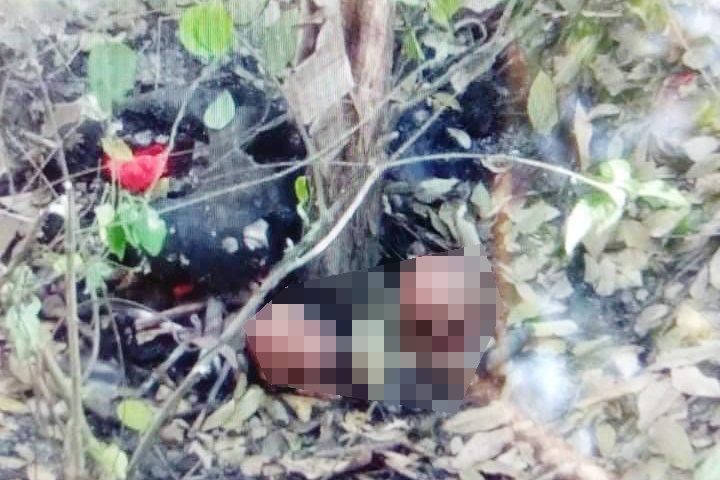 9 bo hai cot trong lo cao su va nha dan o Tay Ninh hinh anh