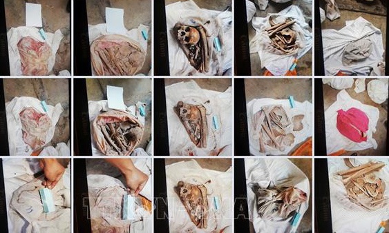 hai cot trong lo cao su anh 1