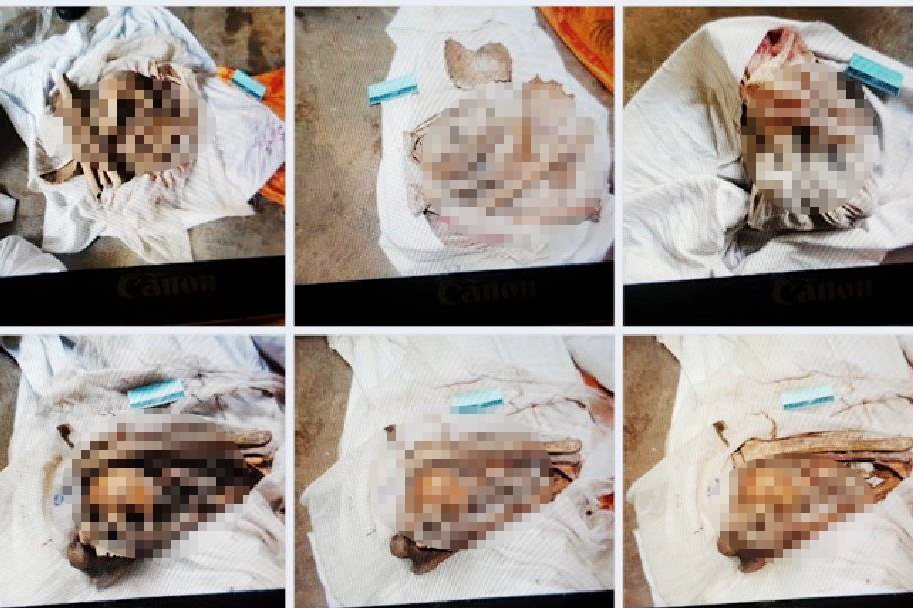 Khong khoi to vu 9 bo hai cot o Tay Ninh hinh anh