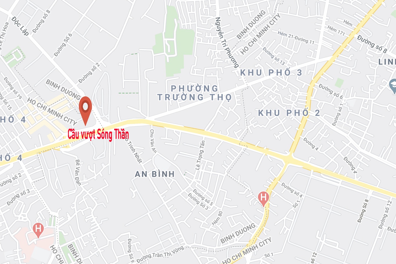 nguoi dan ong chet chay anh 2