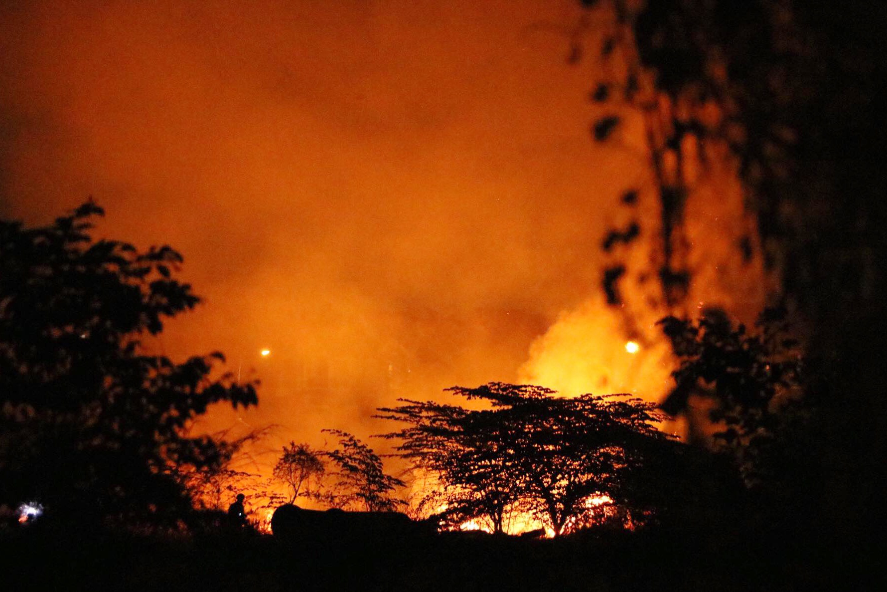 chay dam co kho anh 1