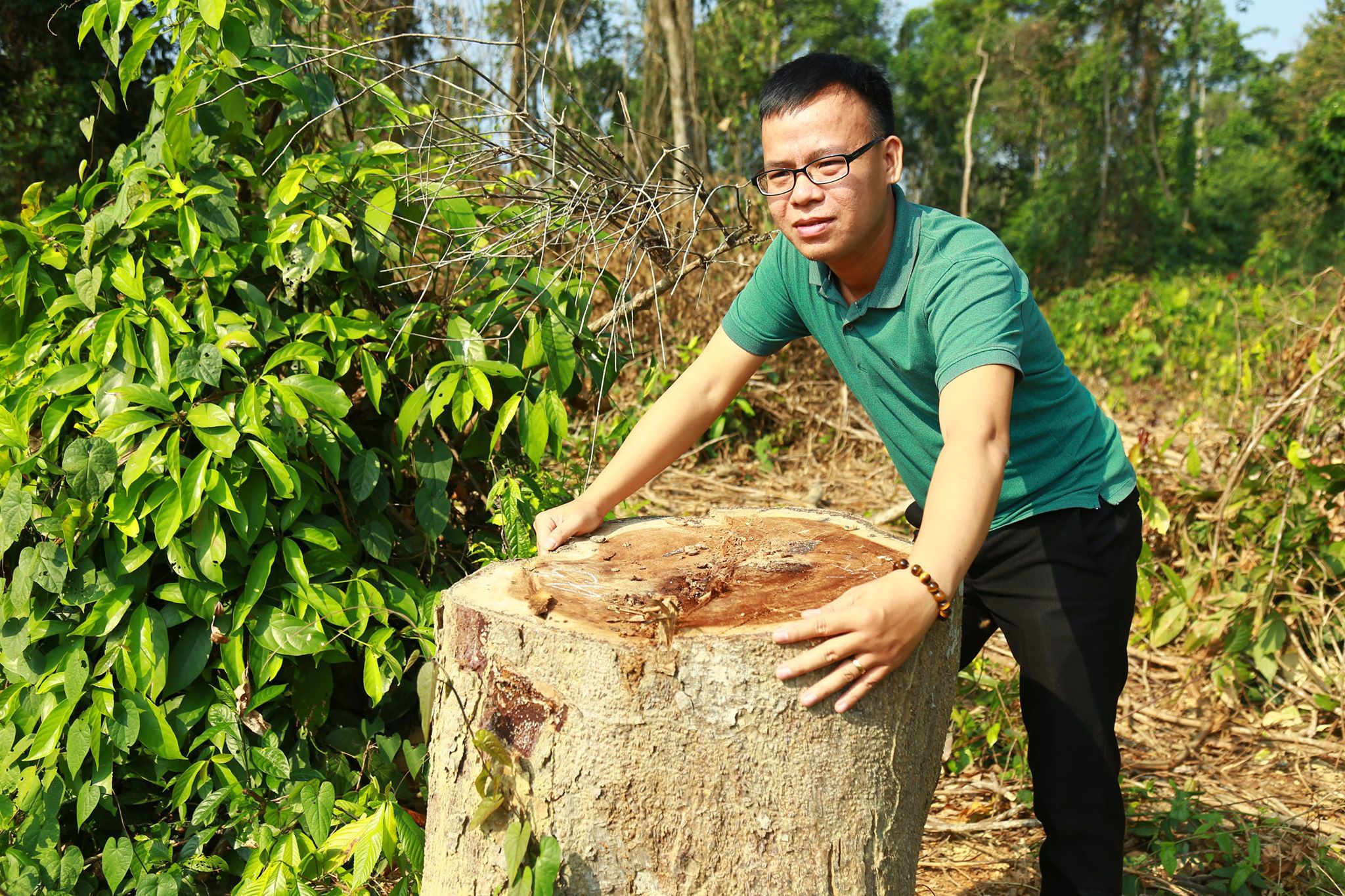 pha rung khu bao ton anh 1