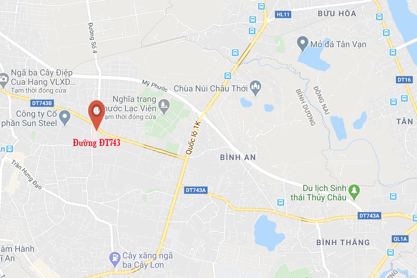 nguoi dan ong tu thieu anh 2