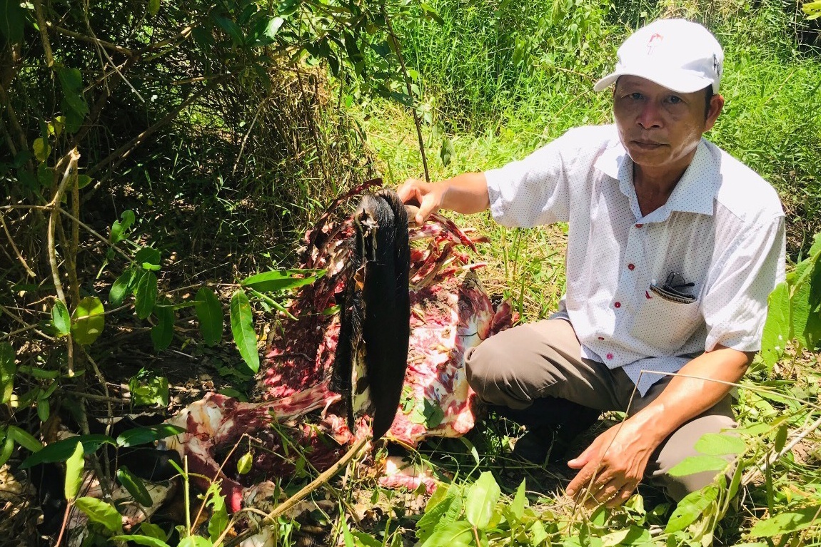 Truy bat nhom nghi giet hai bo tot o Dong Nai hinh anh