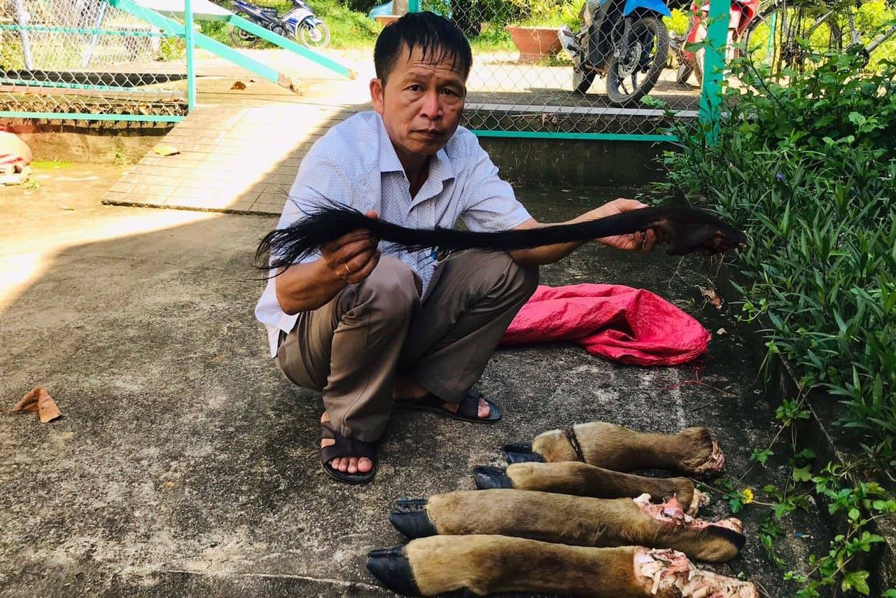 sat hai bo tot anh 1