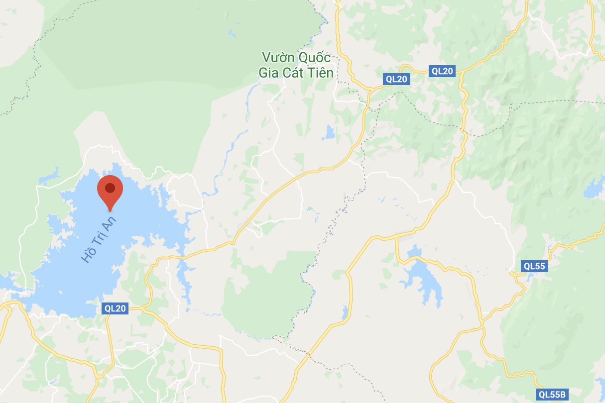 chim giang sen anh 2