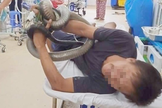 ran ho mang can anh 1