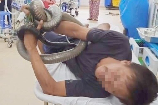 Nguoi dan ong bi ran ho mang can dang nguy kich hinh anh