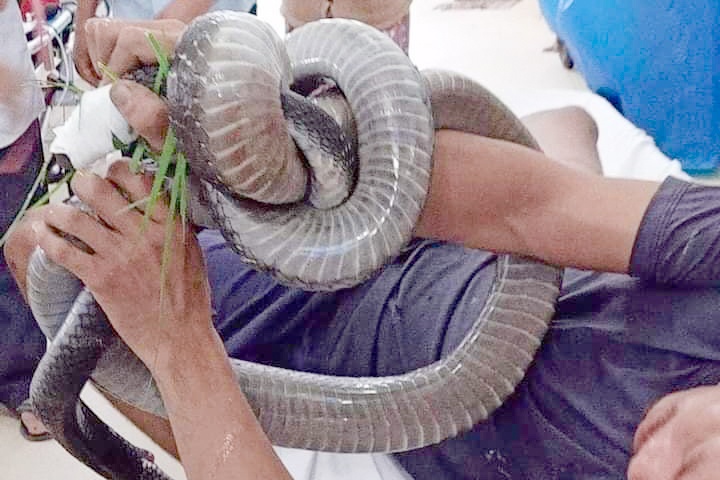 Benh nhan bi ran ho mang chua can da on dinh hon hinh anh