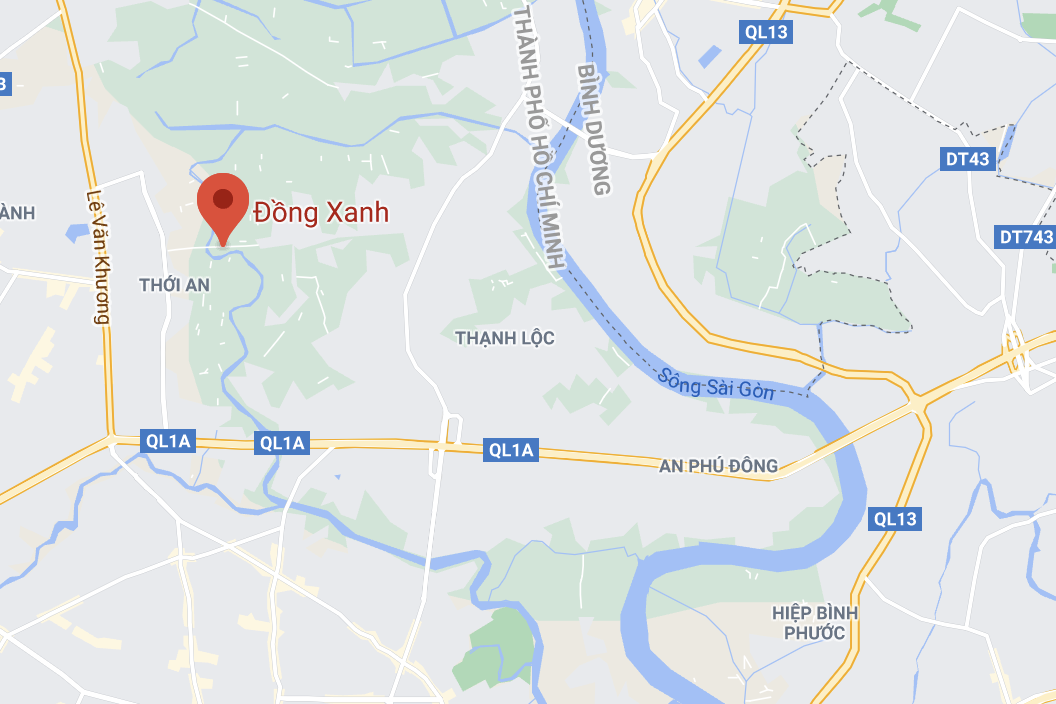 Chay nha o TP.HCM anh 2