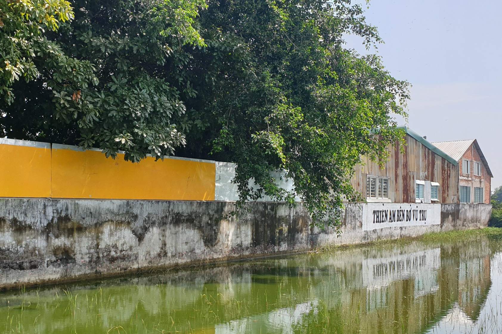 tinh that Bong Lai anh 2