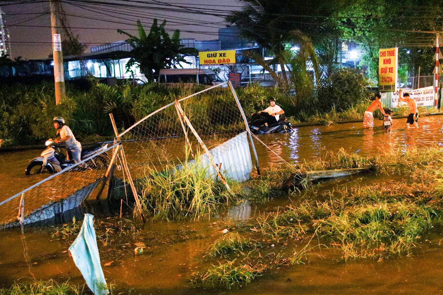 trieu cuong dat dinh anh 1