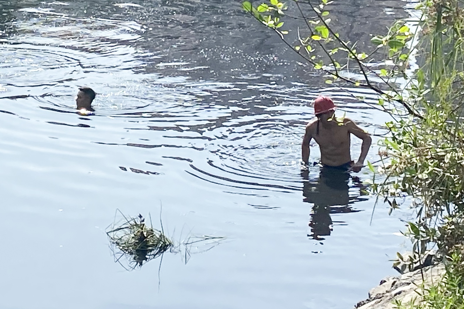 nhay kenh Tau Hu tu tu anh 1
