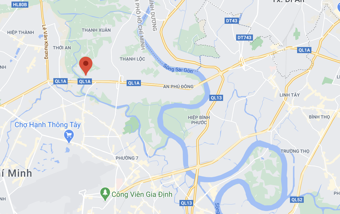 đàn khỉ ở quận 12 ảnh 4 dan khi o quan 12 anh 4