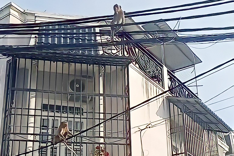 dan khi o quan 12 anh 2