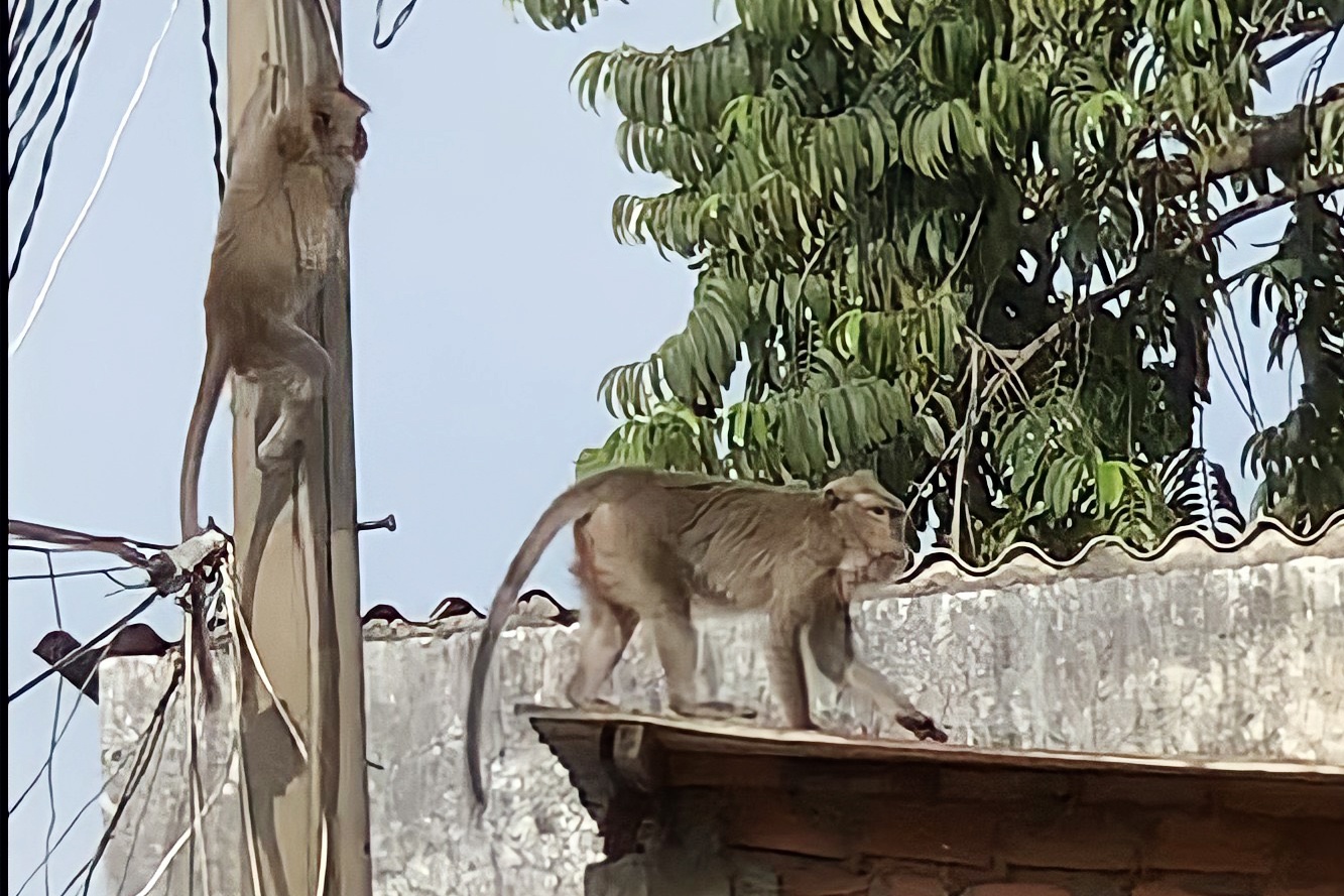 dan khi o quan 12 anh 1