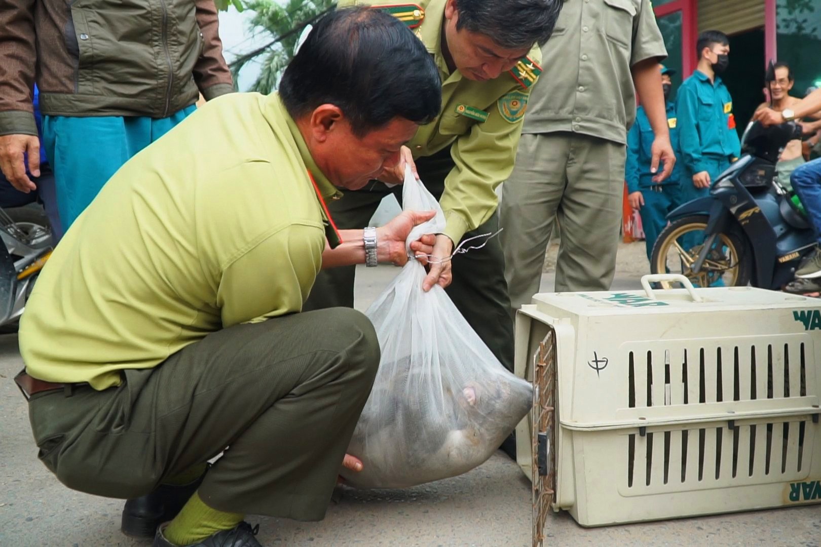 bat dan khi o quan 12 anh 1