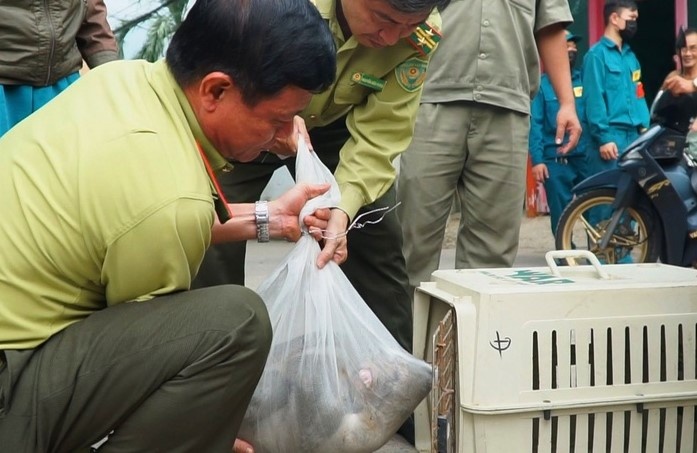 Bat 2 con khi quay pha khu dan cu o TP.HCM hinh anh