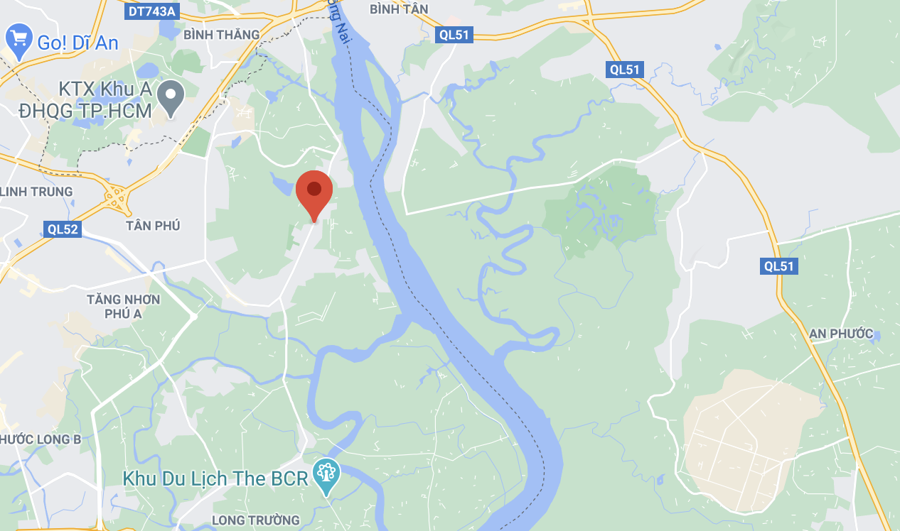 chay xuong phe lieu anh 2